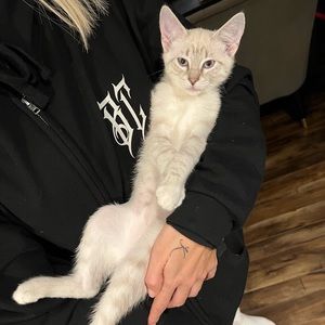 Meet your Posher, Maxwell